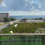 ID 004 2+1-Apartment in Kargicak mit direktem Meerblick
