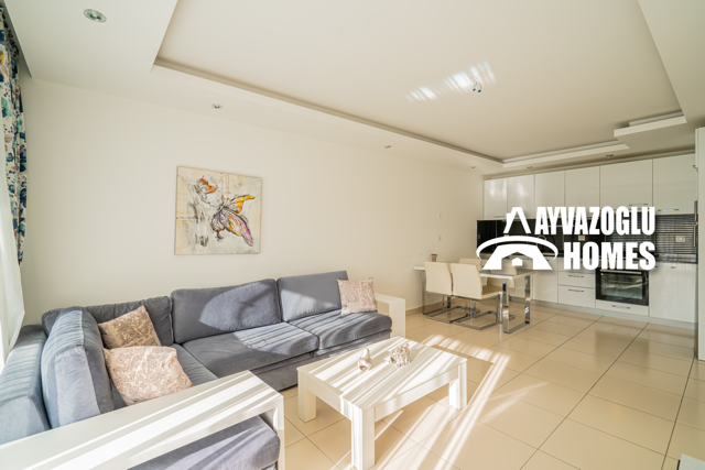 Appartement 1+1 grande surface